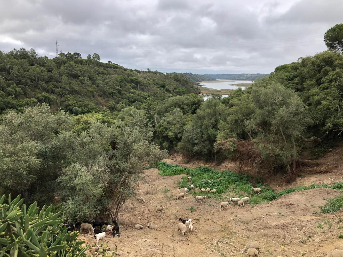 Herdade Do Freixial - Turismo Rural Vila Nova de Milfontes Exteriör bild