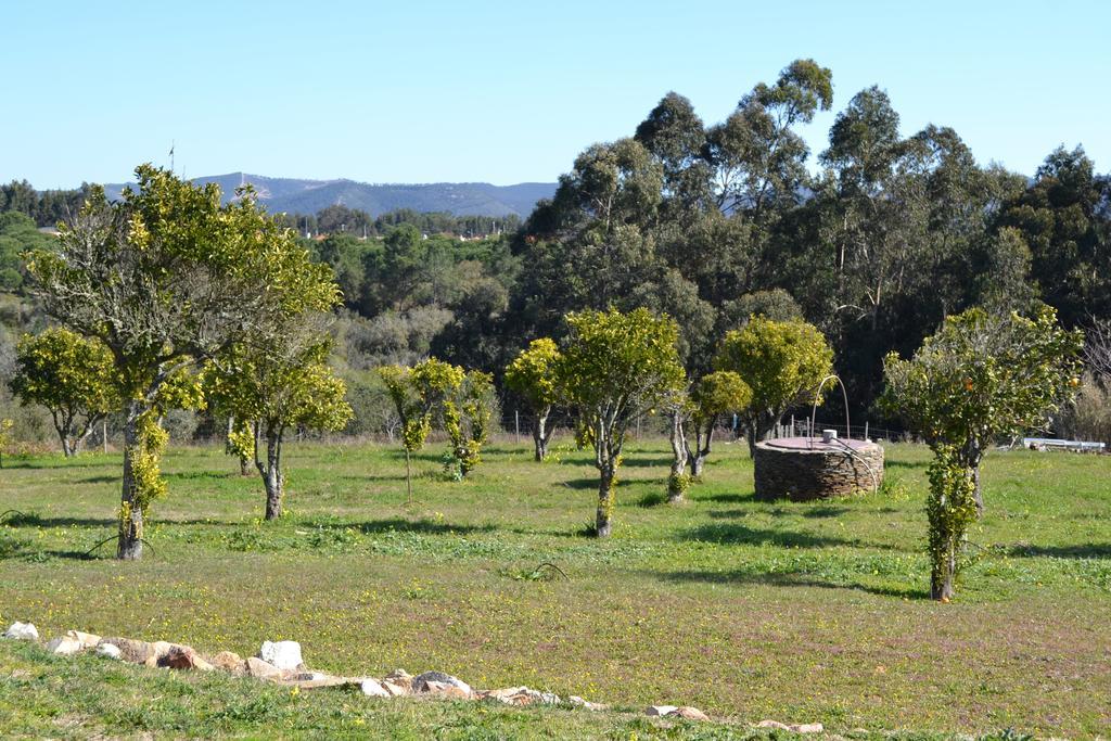 Herdade Do Freixial - Turismo Rural Vila Nova de Milfontes Exteriör bild